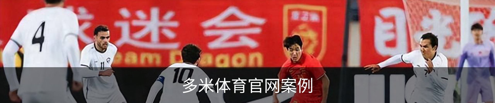 多米体育官网案例